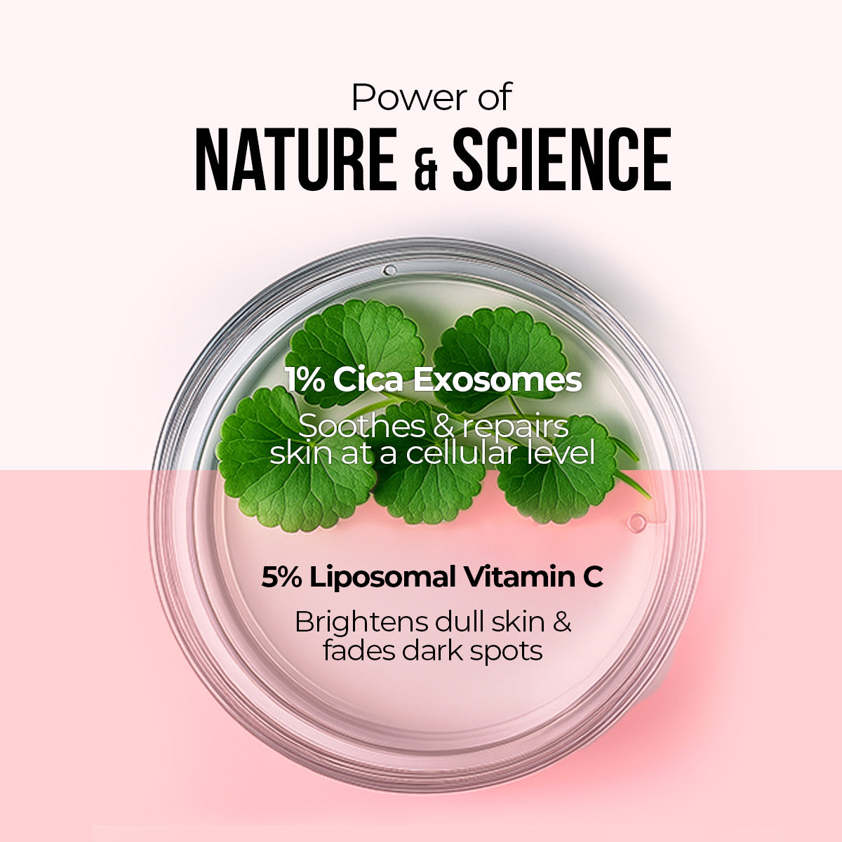 Cica Exosomes & Vitamin C Glow Serum - 30ml