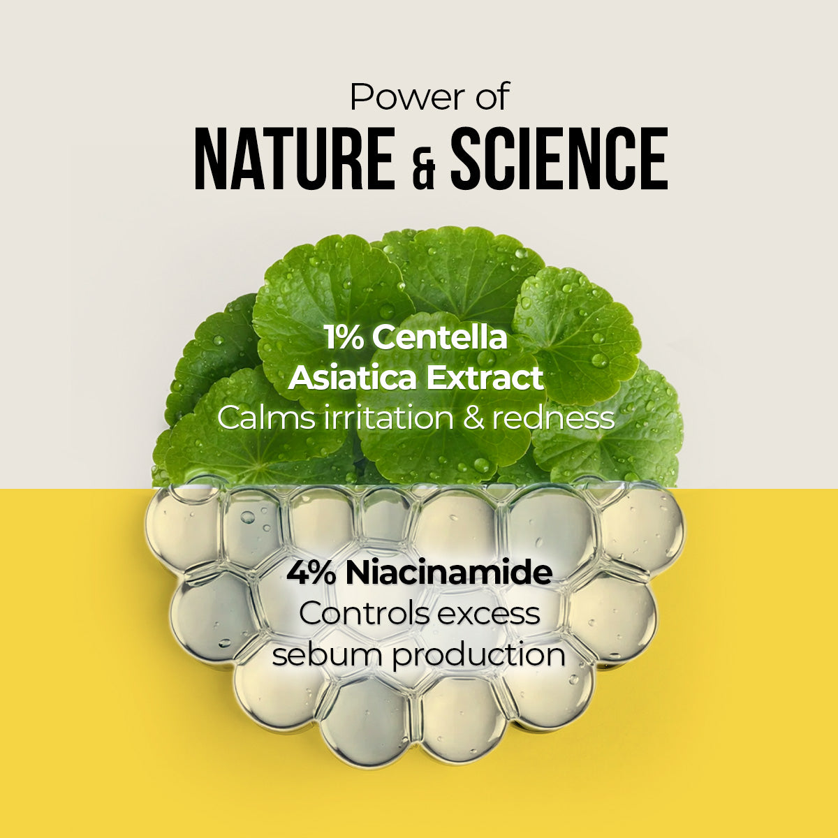 Centella & Niacinamide Oil-Free Matte Sunscreen - 50g