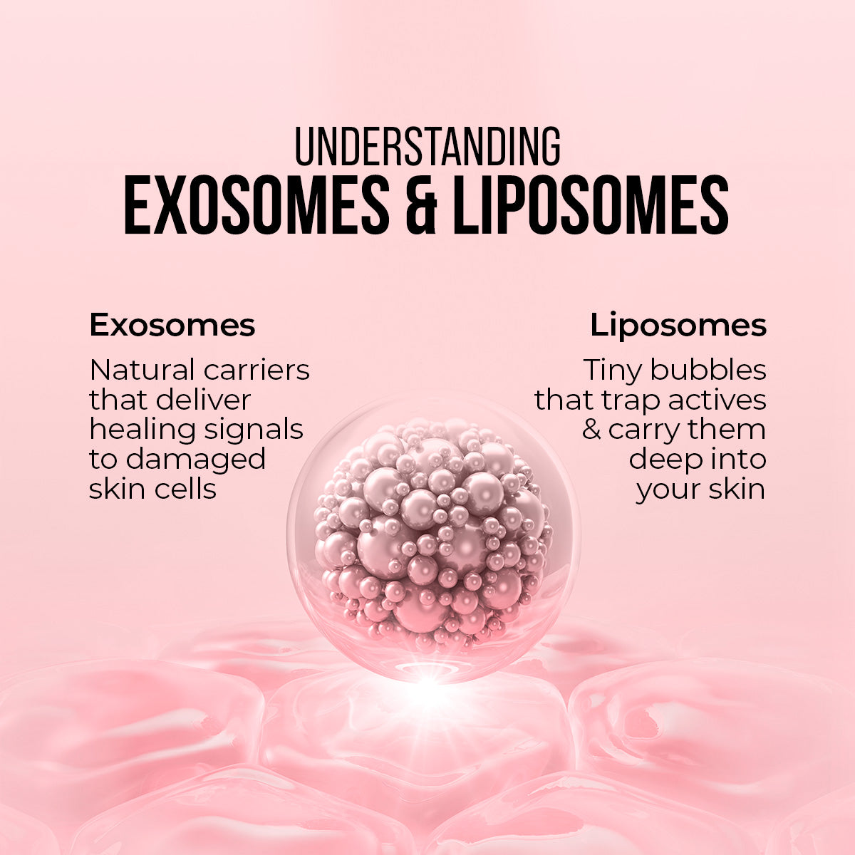 Cica Exosomes & Vitamin C Glow Serum - 30ml